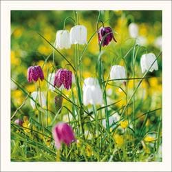 Fritillaries Amongst Buttercups Greeting Card