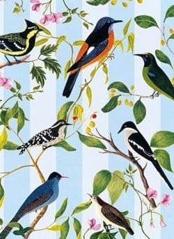 Blue-capped Rock Thrush Greeting Card