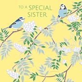 Blue Tits and Rowan Sister Birthday Card