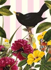 Blackbird Greeting Card