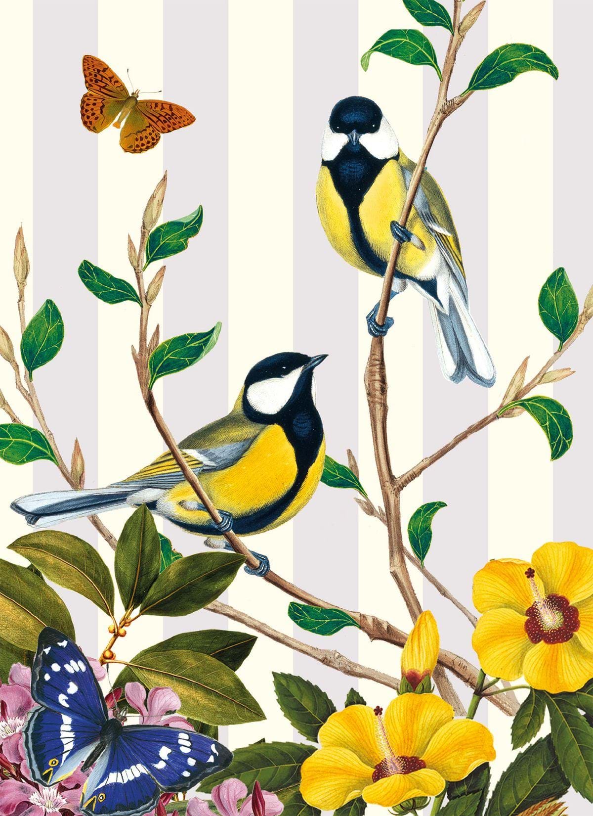 Great Tit Greeting Card