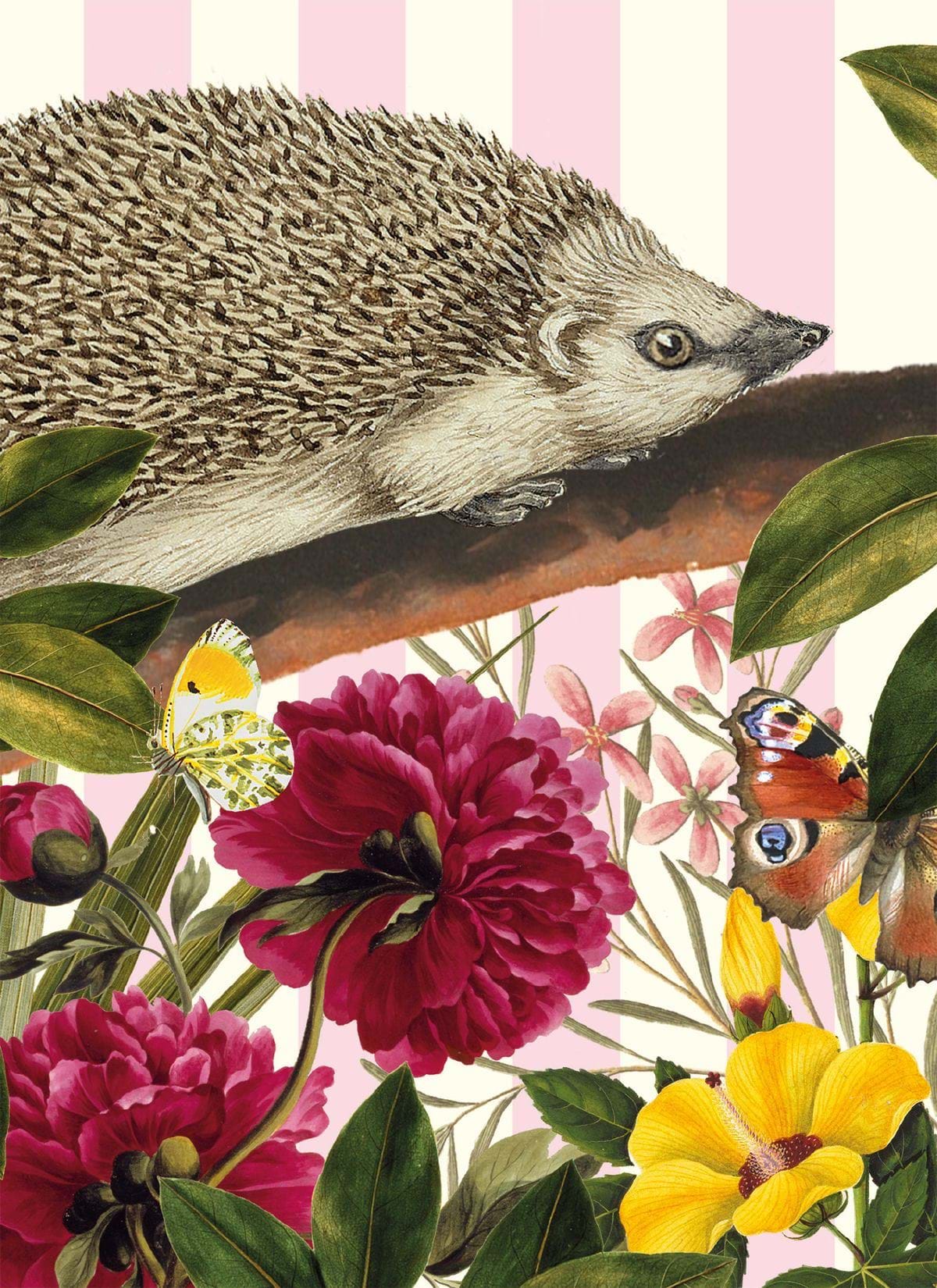 European Hedgehog Greeting Card