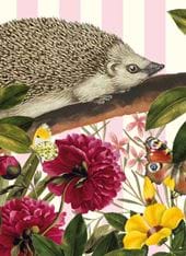European Hedgehog Greeting Card