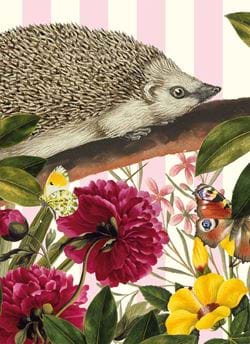 European Hedgehog Greeting Card