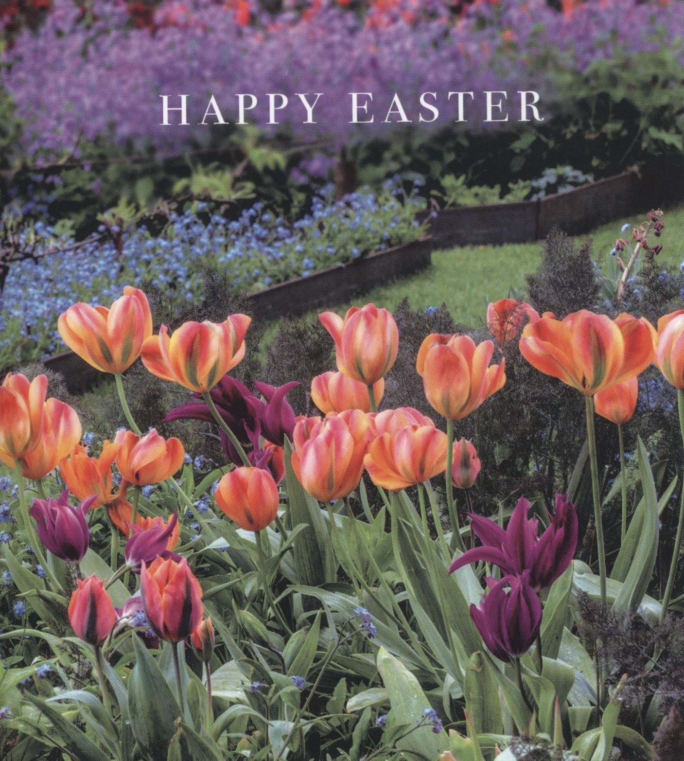 Tulips Easter Cards - Pack of 5