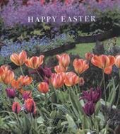 Tulips Easter Cards - Pack of 5