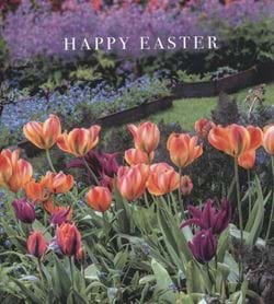 Tulips Easter Cards - Pack of 5