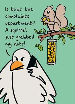 Complaints Department Birthday Card