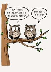 Twit To Who Birthday Card