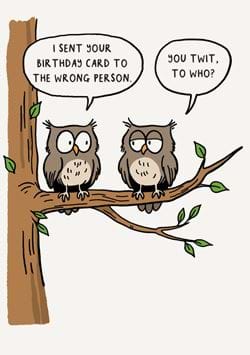 Twit To Who Birthday Card