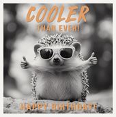 Cooler Than Ever Birthday Card