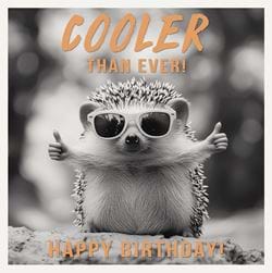 Cooler Than Ever Birthday Card