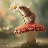 Mouse on a Mushroom Greeting Card