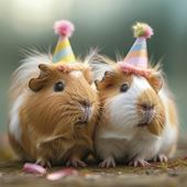 Party Piggies Birthday Card