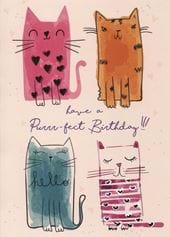 Cats Birthday Card