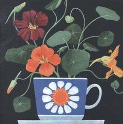 Orange Nasturtium Greeting Card