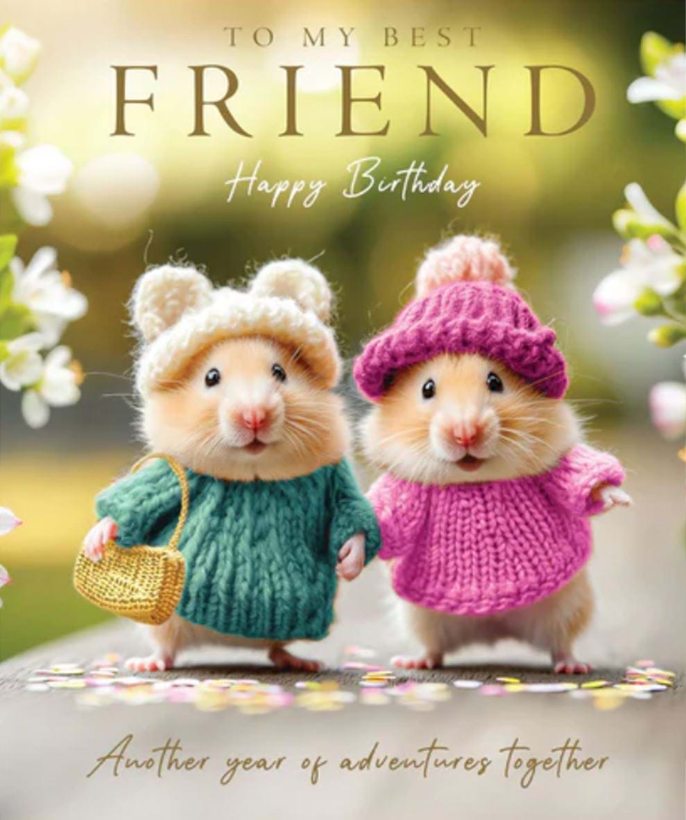Hamsters Best Friend Birthday Card