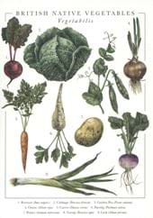 British Native Vegetables Greeting Card