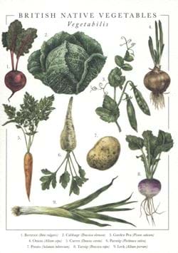 British Native Vegetables Greeting Card