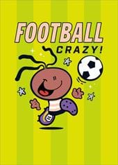 Football Crazy Birthday Card