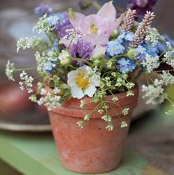 Garden Pot Greeting Card