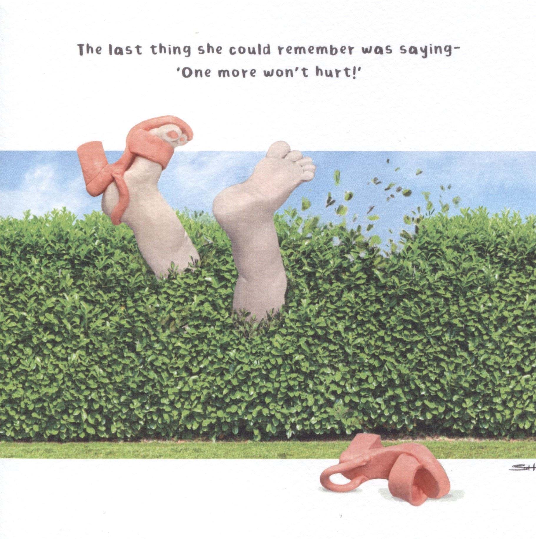 One More Won't Hurt Birthday Card