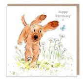 Cocker Spaniel Birthday Card