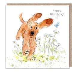 Cocker Spaniel Birthday Card