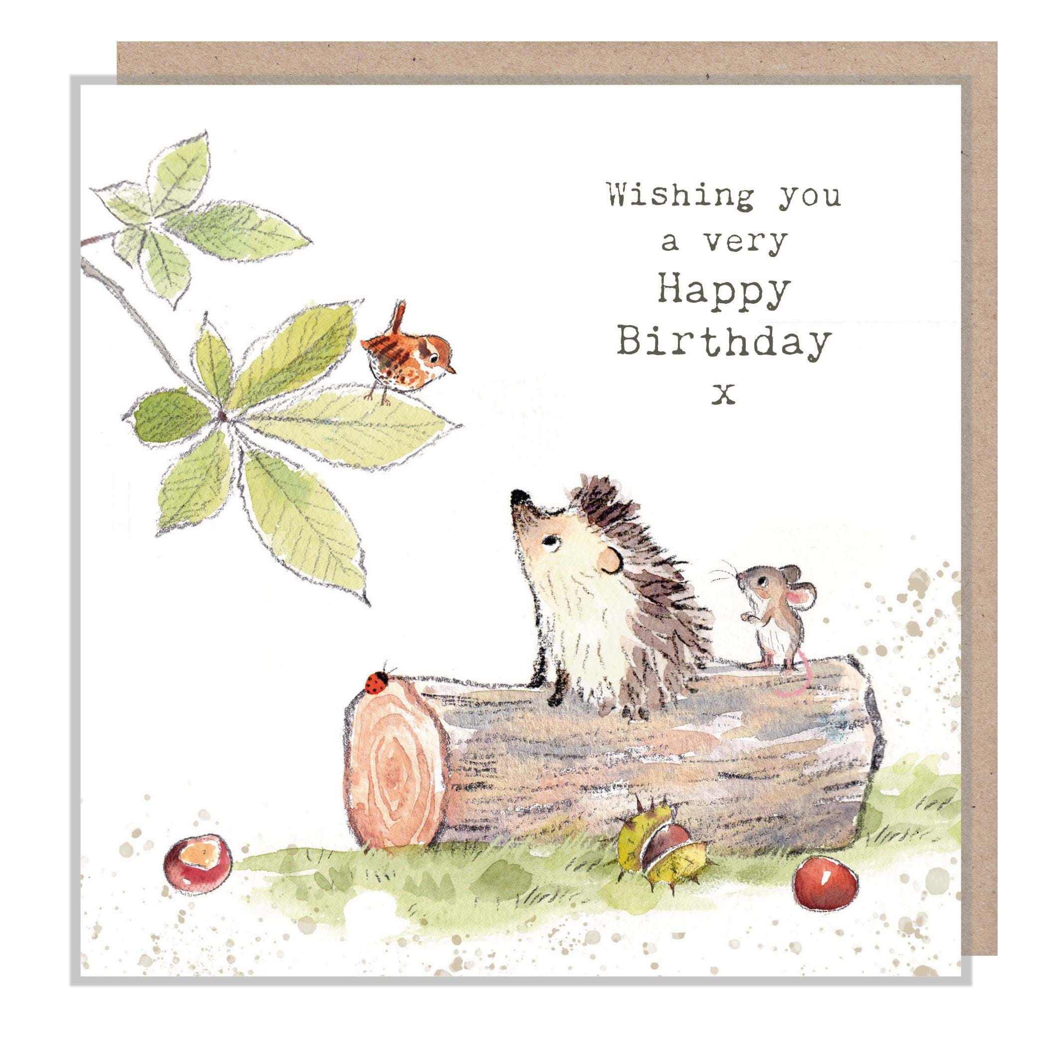 Hedgehog Birthday Card