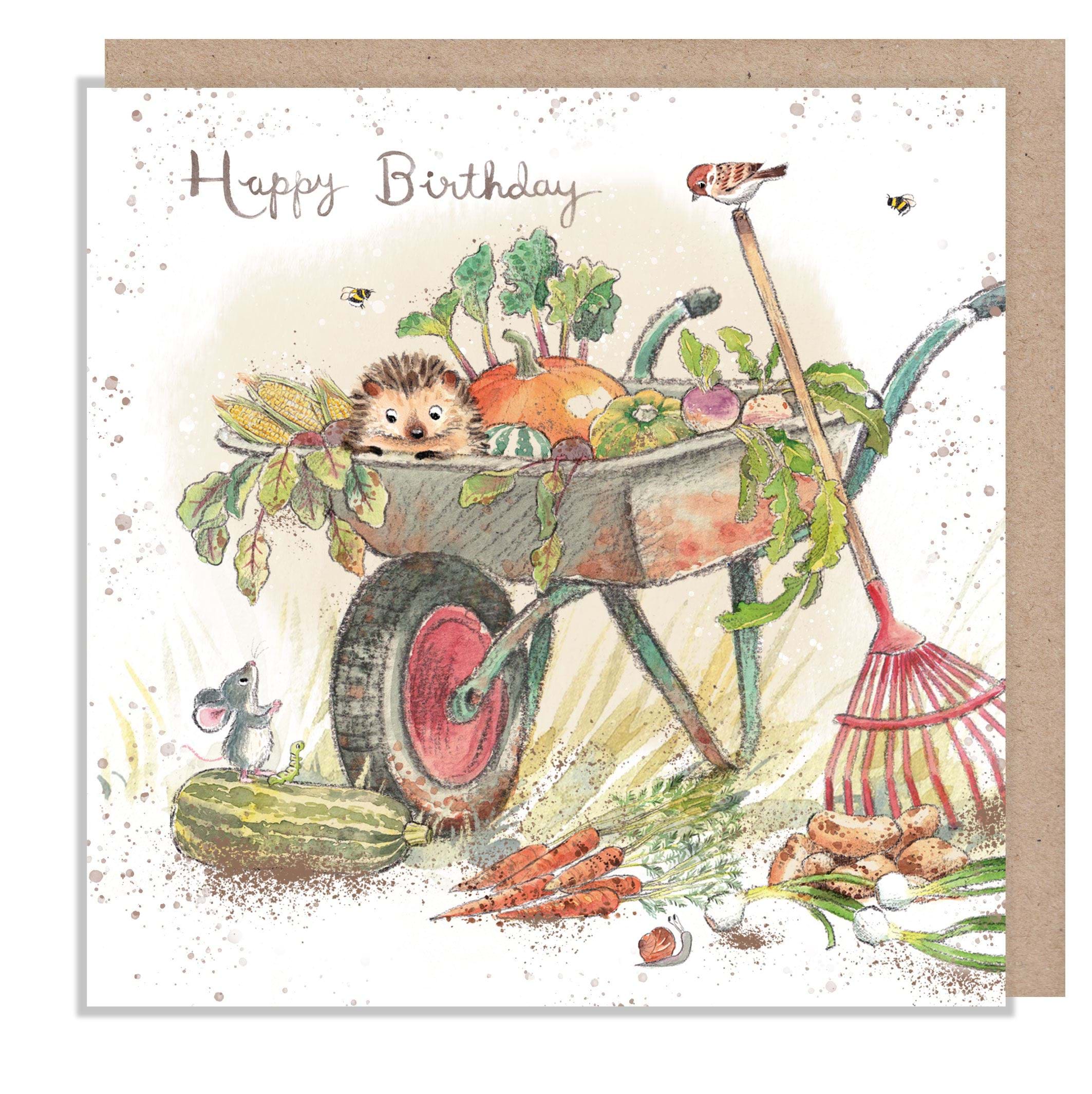 Hedgehog in Wheel Barrow Birthday Card