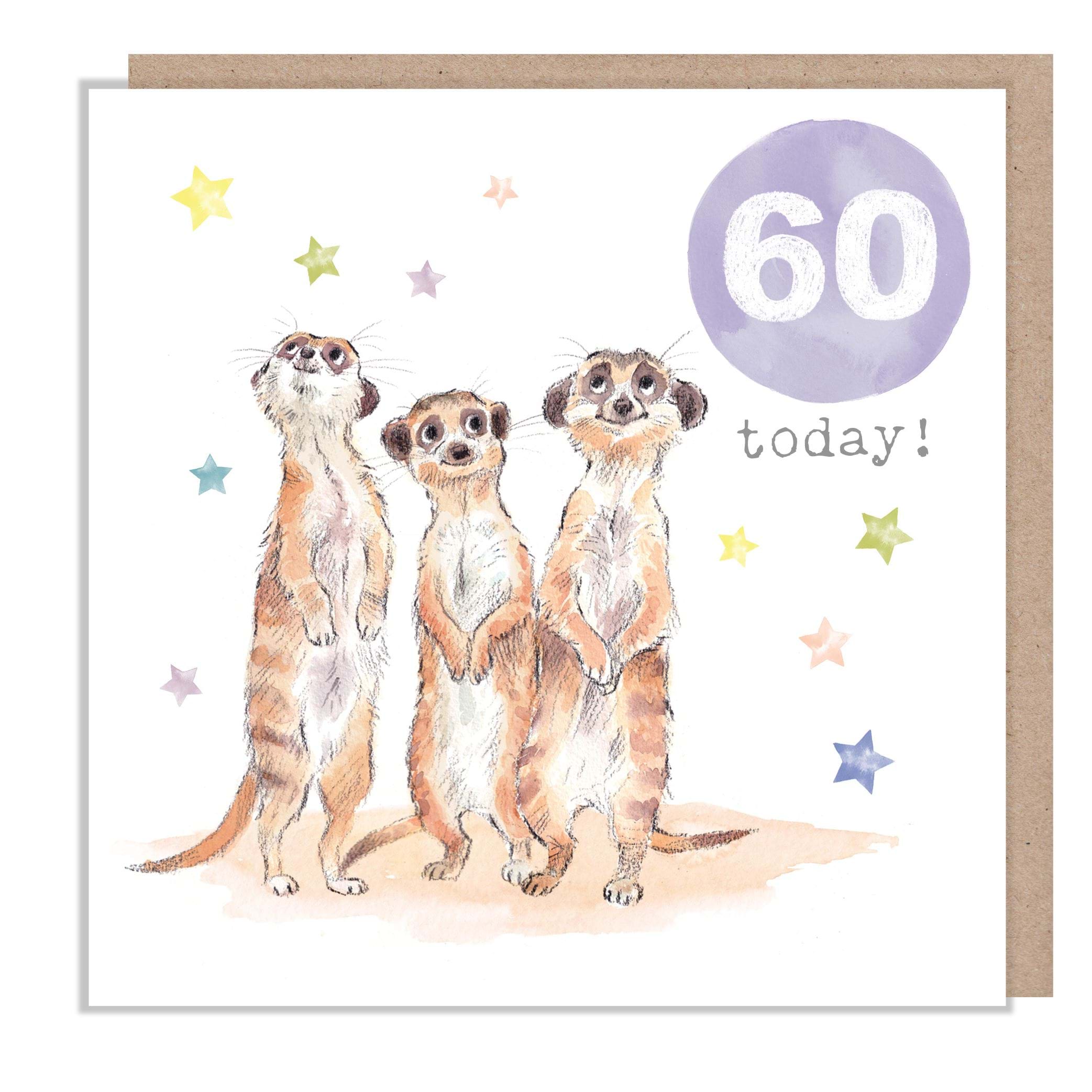 Meerkats 60th Birthday Card