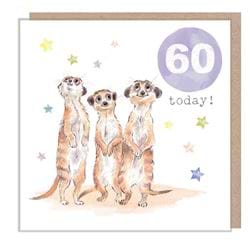 Meerkats 60th Birthday Card