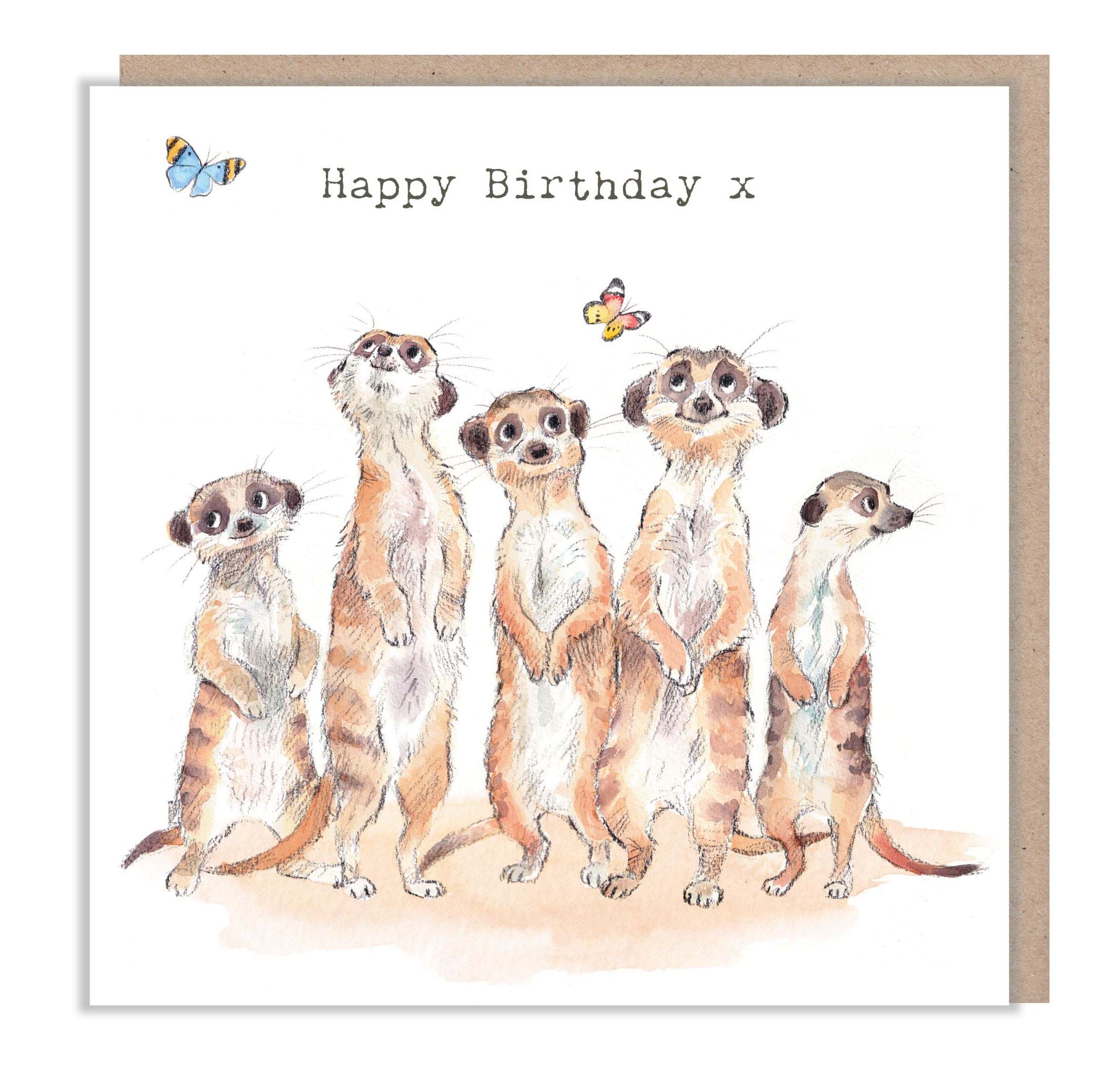 Meerkats Birthday Card
