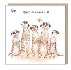 Meerkats Birthday Card