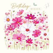 Cosmos Flowers Birthday Card