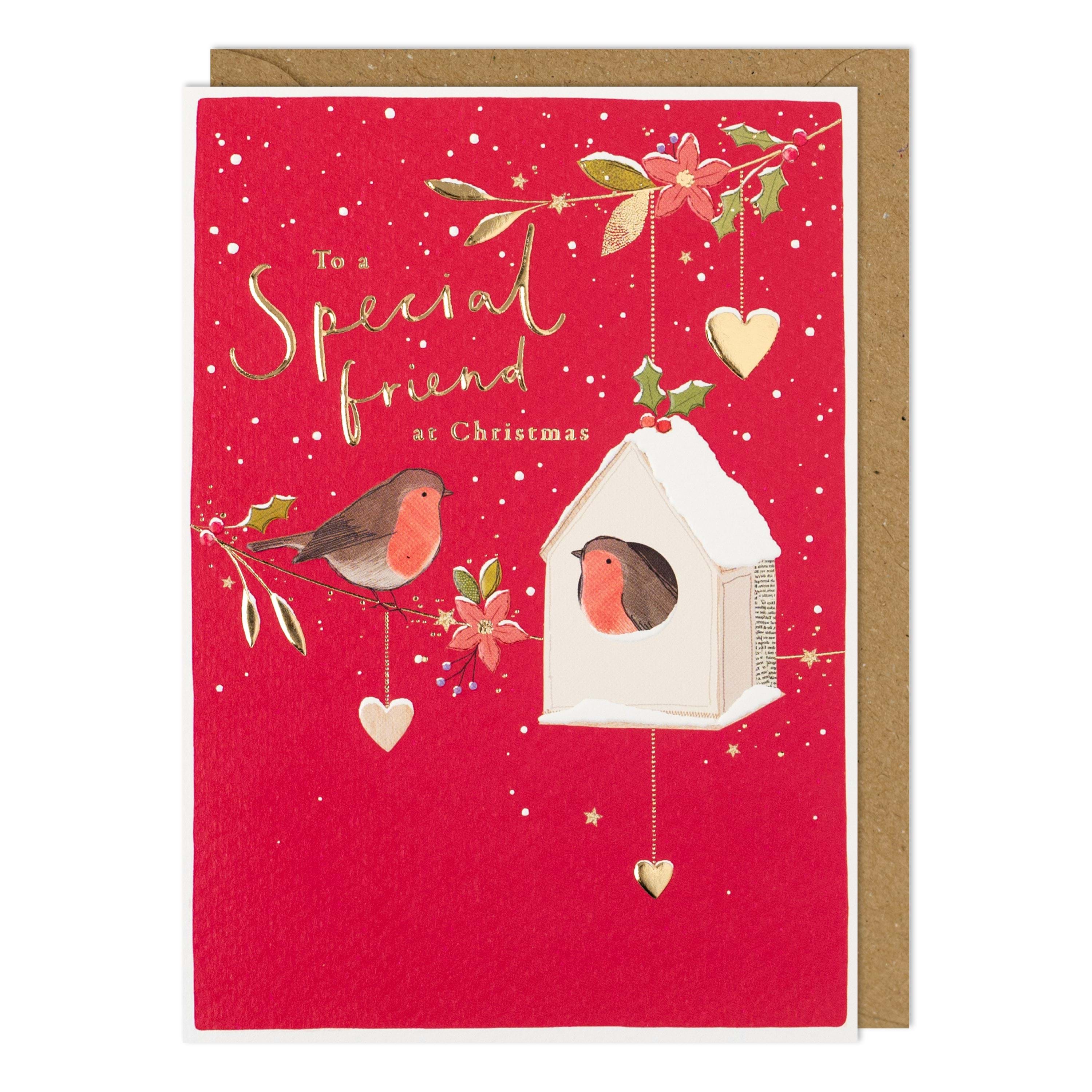 Bird Box Special Friend Christmas Card