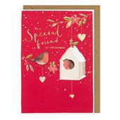 Bird Box Special Friend Christmas Card