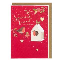 Bird Box Special Friend Christmas Card