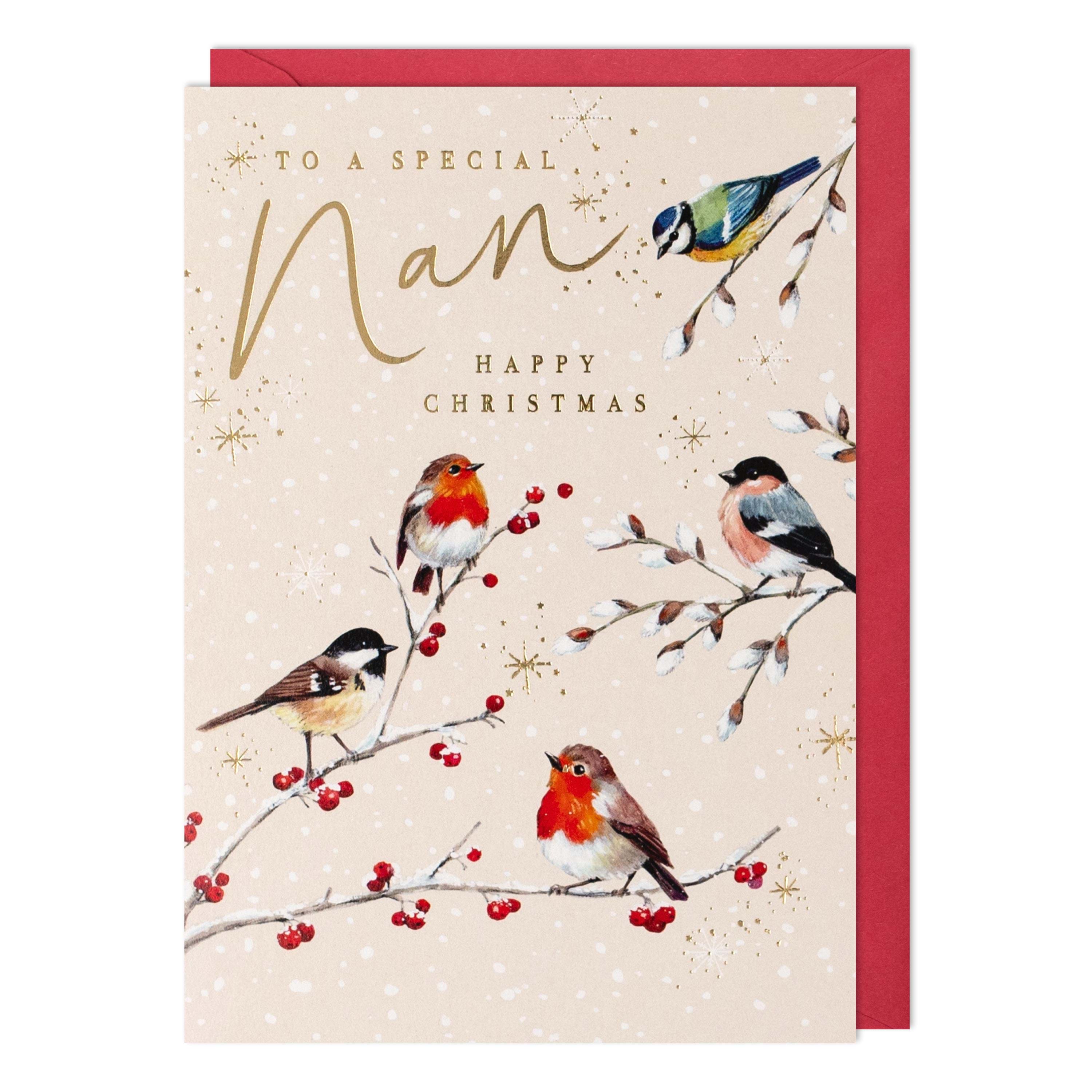 Garden Birds Nan Christmas Card