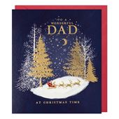 Wonderful Dad Christmas Card