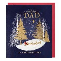 Wonderful Dad Christmas Card