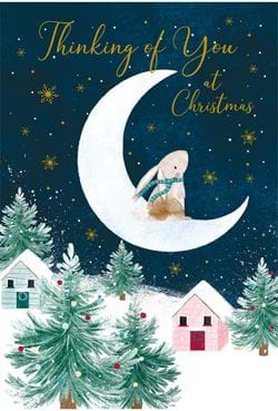 Rabbit and the Moon Thinking of you Christmas Card