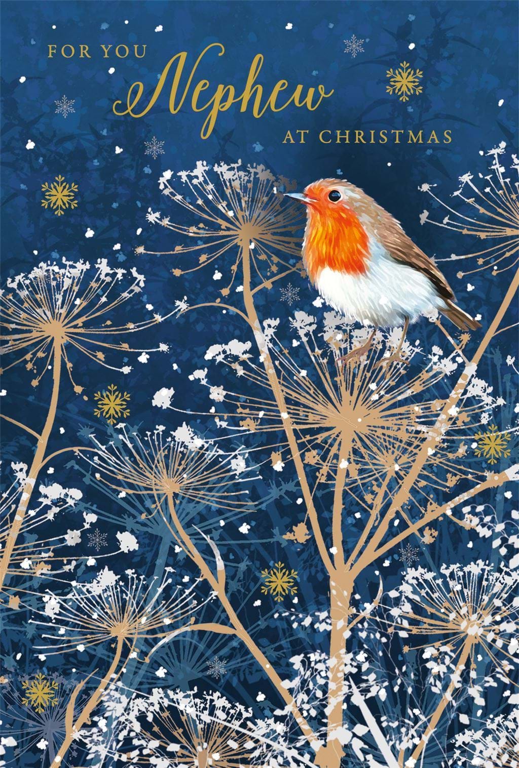 Robin Nephew Christmas Card