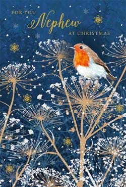 Robin Nephew Christmas Card