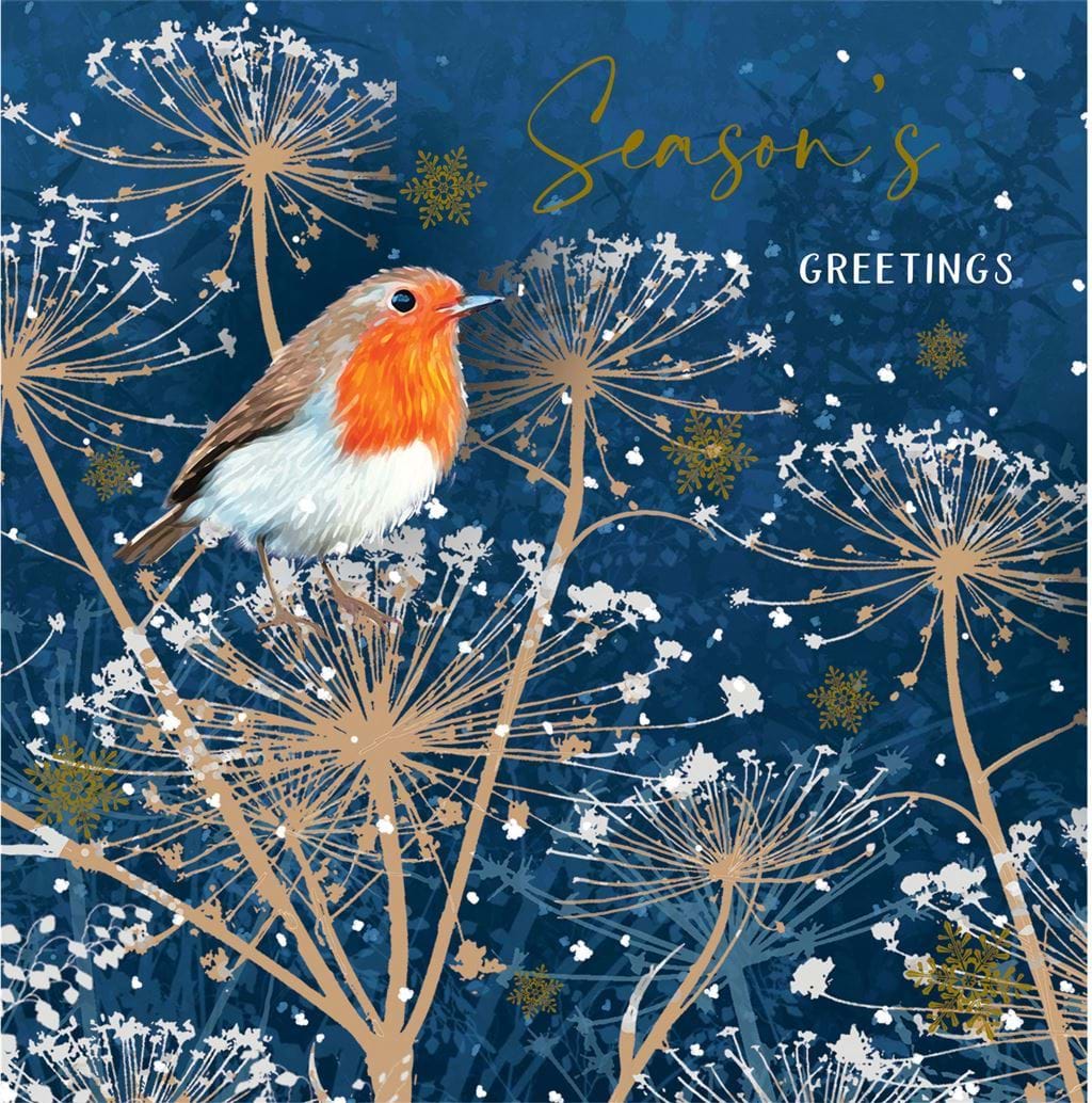 Robin Seasons Greetings Christmas Card