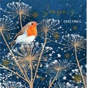 Robin Seasons Greetings Christmas Card