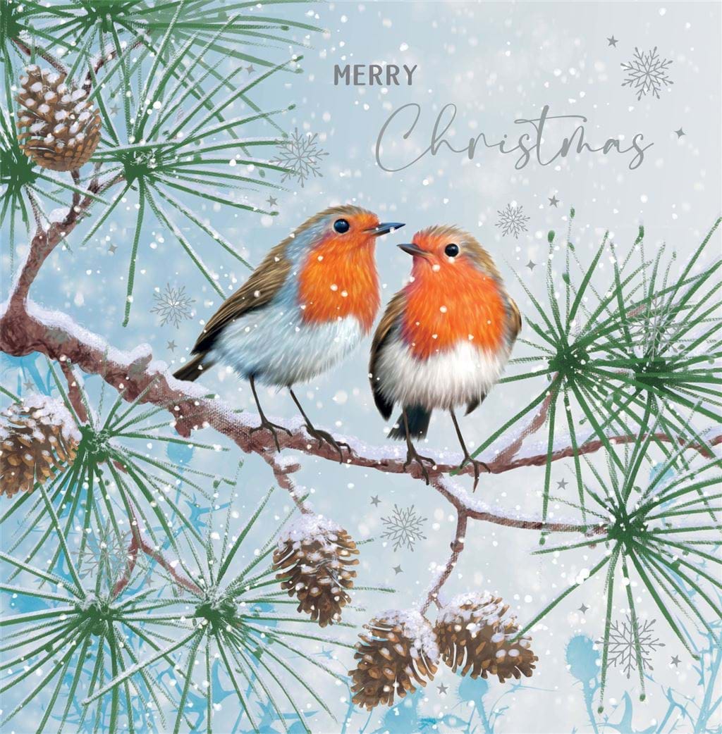 Robins on a Branch Christmas Card