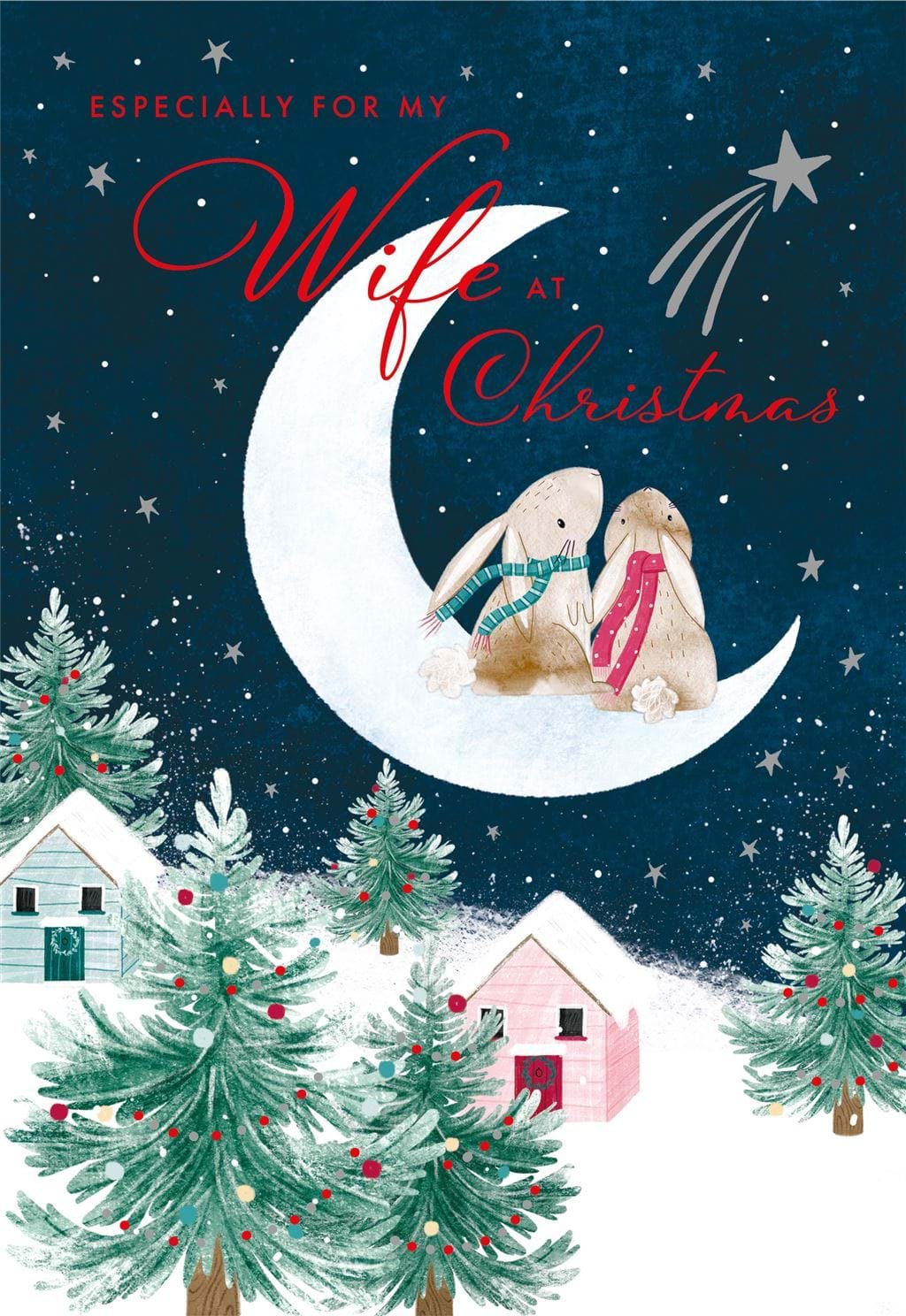 Rabbit Moon Wife Christmas Card