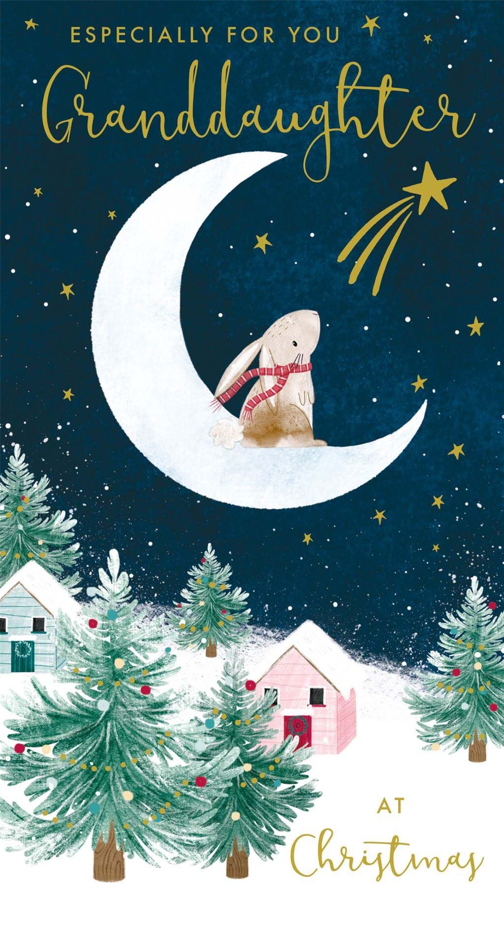 Rabbit Moon Granddaughter Christmas Card