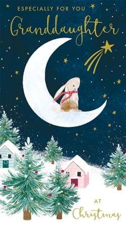 Rabbit Moon Granddaughter Christmas Card